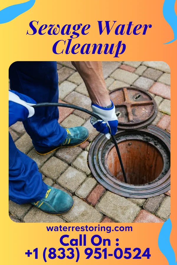 Sewage Water Cleanup in Strasburg, MO