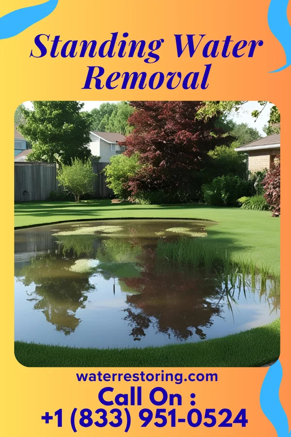 Standing Water Removal in Strasburg, MO